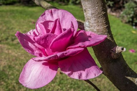 Photo of property in 109 King Arthur Drive, Otaihanga, Paraparaumu, 5036