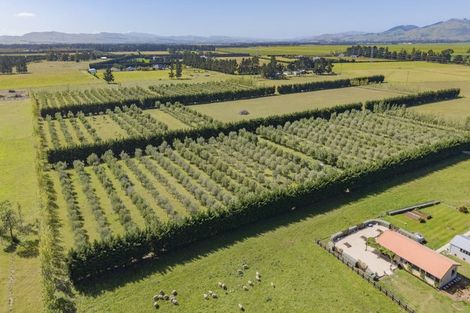 Photo of property in 206 Mount Brown Road, Glasnevin, Amberley, 7482