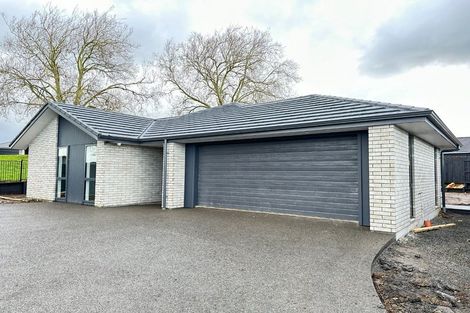 Photo of property in 8 Parkside Lane, Morrinsville, 3300