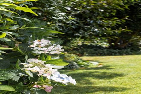 Photo of property in 3 Sheridan Crescent, Leamington, Cambridge, 3432