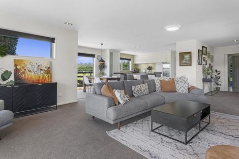 Photo of property in 146 Mandeville Road, Swannanoa, Kaiapoi, 7692