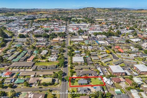 Photo of property in 110 Edinburgh Street, Pukekohe, 2120