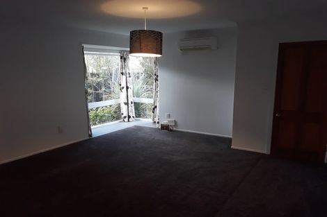 Photo of property in 469 Durham Street North, St Albans, Christchurch, 8014