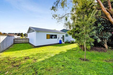 Photo of property in 17 Konini Street, Inglewood, 4330