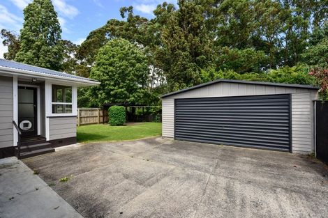 Photo of property in 25 Fitzroy Avenue, Fitzroy, Hamilton, 3206