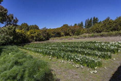 Photo of property in 40 Maskells Road, Balcairn, Amberley, 7481