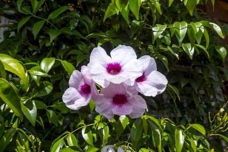 Photo of property in 39b Gemstone Drive, Birchville, Upper Hutt, 5018