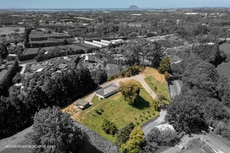 Photo of property in 86a Te Puna Quarry Road, Minden, Tauranga, 3179