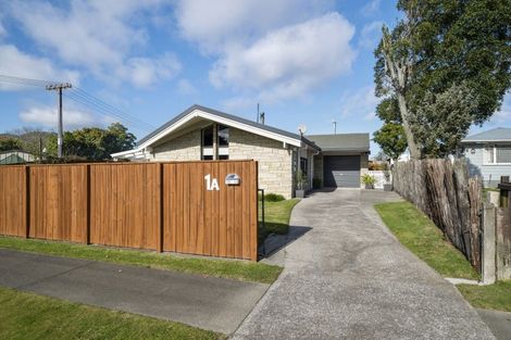 Photo of property in 1/1 Konini Street, Taupo, 3330