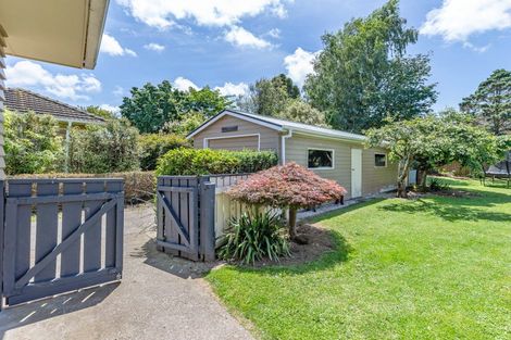 Photo of property in 17 Hobson Street, Levin, 5510