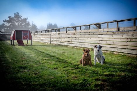 Photo of property in 26 Riverlea Downs, Broadlands, Reporoa, 3081