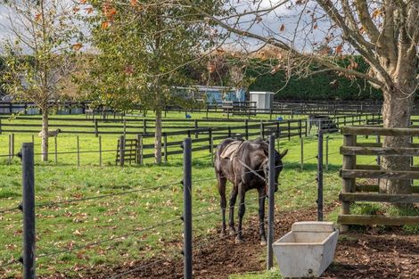 Photo of property in 2/101 Racecourse Road, Cambridge, 3493