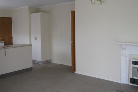 Photo of property in 8b Elizabeth Street, Palmerston North, 4410