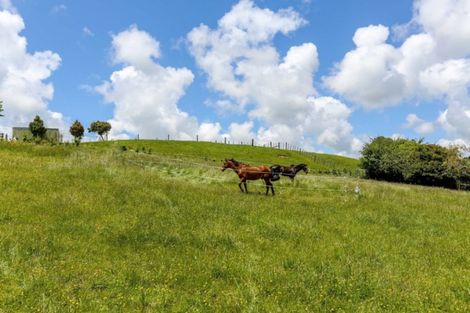 Photo of property in 43 Saxton Road, Upper Vogeltown, New Plymouth, 4371