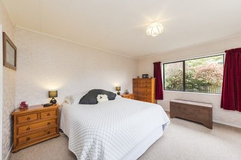 Photo of property in 103 Salisbury Street, Ashhurst, 4810