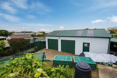 Photo of property in 43 Shortt Street, Foxton Beach, Foxton, 4815