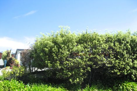 Photo of property in 12 Ledbury Road, Atawhai, Nelson, 7010