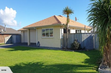 Photo of property in 27 Barry Curtis Place, Levin, 5510