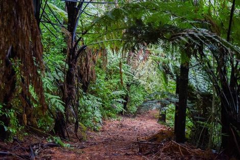 Photo of property in 14 Tupelo Place, Ohauiti, Tauranga, 3112