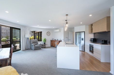 Photo of property in 13 Fallow Place, Richmond, 7020