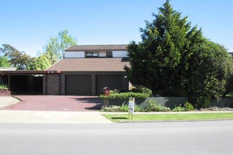 Photo of property in 8 Hillcrest Avenue, Witherlea, Blenheim, 7201