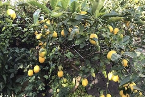 Photo of property in 88b Commissariat Road, Mount Wellington, Auckland, 1060