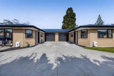 Photo of property in 2/35 Mahoe Street, Inglewood, 4330
