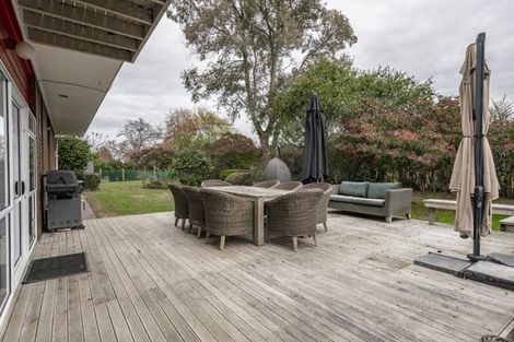 Photo of property in 195 Hautapu Road, Pukemoremore, Cambridge, 3493