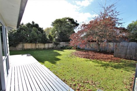 Photo of property in 146 Grampian Street, Tokoroa, 3420