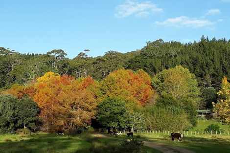 Photo of property in 660 Takou Bay Road, Kaeo, 0295