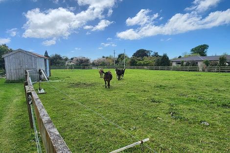 Photo of property in 1095 Queen Street East, Levin, 5571