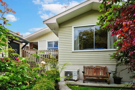 Photo of property in 66 Titoki Street, Lansdowne, Masterton, 5810