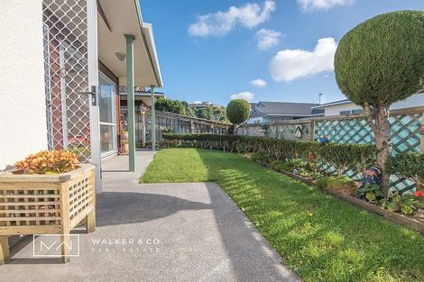 Photo of property in 20 Macalister Place, Miramar, Wellington, 6022