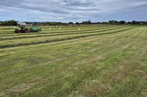 Photo of property in 223 Kaitangata Highway, Stirling, 9231