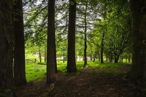 Photo of property in 102 Ormond Valley Road, Ormond, Gisborne, 4071