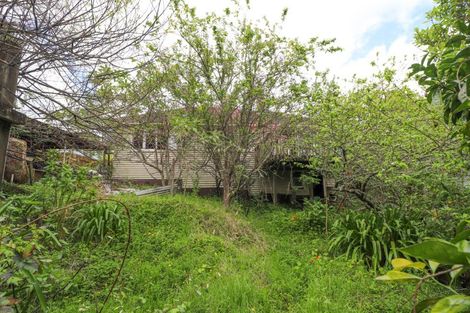 Photo of property in 111 Currie Street, Thames, 3500