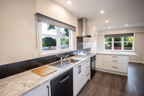 Photo of property in 100a Fitzroy Street, Terrace End, Palmerston North, 4410