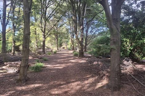 Photo of property in 250 Selwyn, Rolleston, 7678