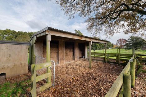 Photo of property in 1216 Orini Road, Orini, Taupiri, 3792