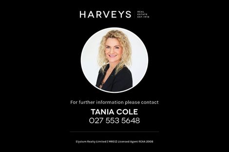 Photo of property in 133a Vodanovich Road, Te Atatu South, Auckland, 0610