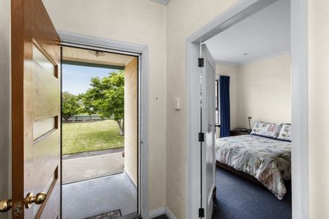 Photo of property in 809 Albert Street, Parkvale, Hastings, 4122