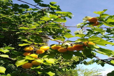 Photo of property in 10 Monmouth Place, Tamatea, Napier, 4112