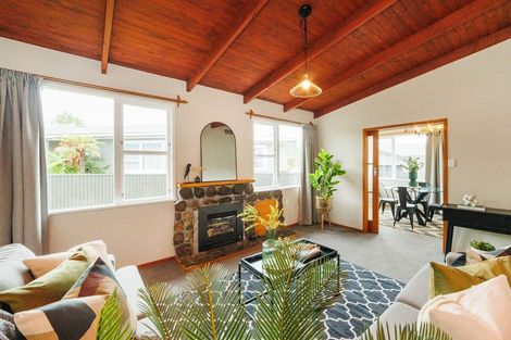 Photo of property in 3 Aotea Street, Feilding, 4702