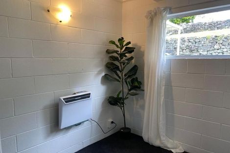 Photo of property in 8 Allen Road, Grey Lynn, Auckland, 1021