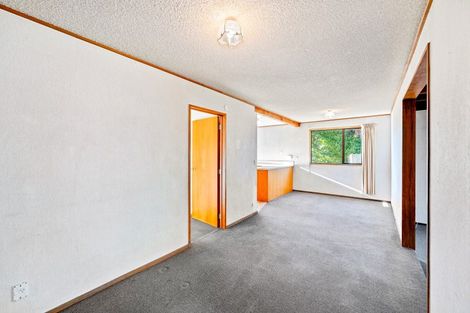 Photo of property in 6 Plantation Road, Wanaka, 9305