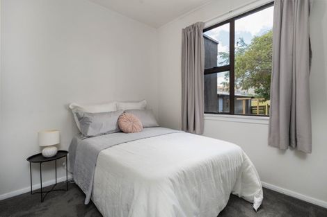 Photo of property in 31 Matipo Street, Tokomaru, Palmerston North, 4474