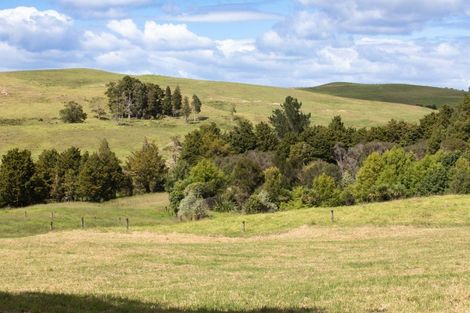 Photo of property in 264 Okokako Road, Waimate North, Kerikeri, 0293