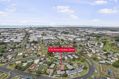 Photo of property in 17a Trevor Hosken Drive, Wiri, Auckland, 2104