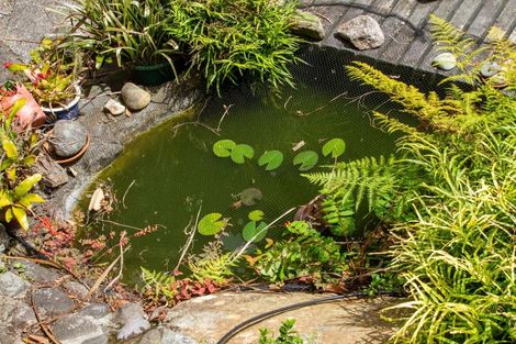 Photo of property in 105 Marie Place, Thames, 3500