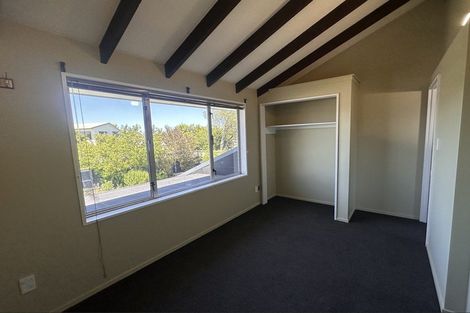 Photo of property in 45 Middlepark Road, Sockburn, Christchurch, 8042